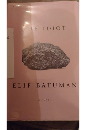 Cover of The Idiot